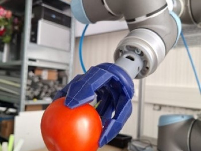 Robotics for quality-driven post-harvest supply chains